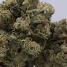 семена конопли интернет магазин 707 Headband feminised Humboldt Seeds