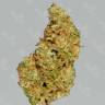 Pablo Escobar feminised Ganja Seeds