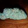Auto Hell's Angel OG feminised Ganja Seeds
