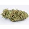 семена индийской конопли Auto Bubba Kush feminised Dinafem Seeds