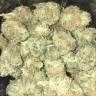 заказ семян конопли Москва Chill-OM regular Mandala Seeds