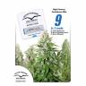 заказ семян конопли Москва Autoflower High Potency Mix feminised Dutch Passion Seeds