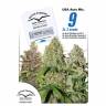 семена конопли в России Autoflower USA Mix feminised Dutch Passion Seeds