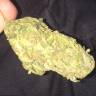 семена конопли курьером Rishi Kush regular Mandala Seeds