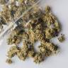 семена конопли Россия Rishi Kush regular Mandala Seeds