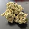 мощные семена конопли Grapefruit Diesel feminised