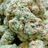 мощные семена конопли Smile feminised Kannabia Seeds