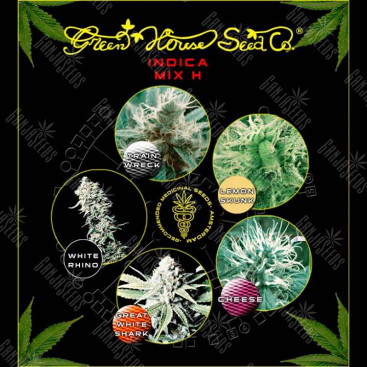 семена конопли для курения Indica Mix H feminised Green House Seeds