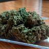 Семки Royal Gorilla feminised Ganja Seeds