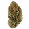 семена конопли недорого Violator Kush feminised Barneys Farm